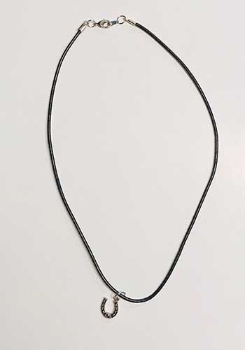 Horseshoe-necklace-350x500